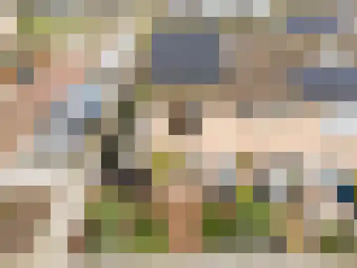 Leeuwerikstraat 2 Vianen thumbnail 37