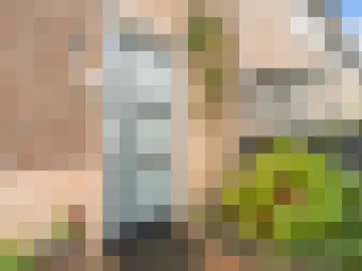 Leeuwerikstraat 2 Vianen thumbnail 4