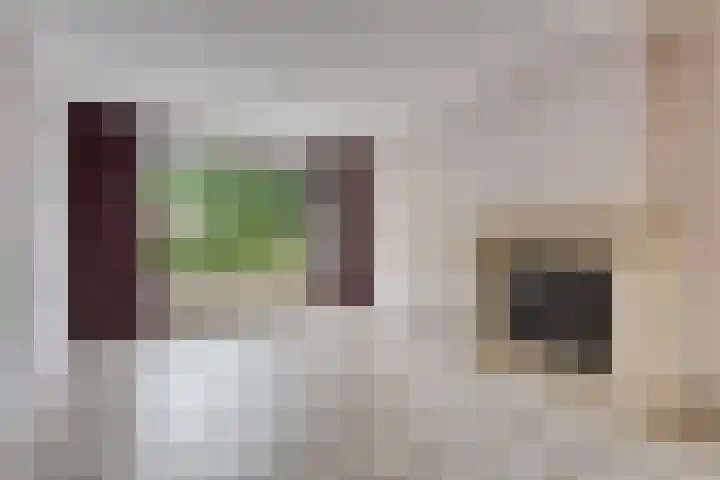 Leeuwerikstraat 20 Berg en Terblijt thumbnail 11