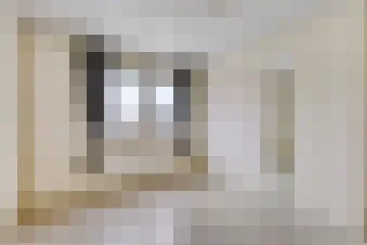 Leeuwerikstraat 20 Berg en Terblijt thumbnail 20