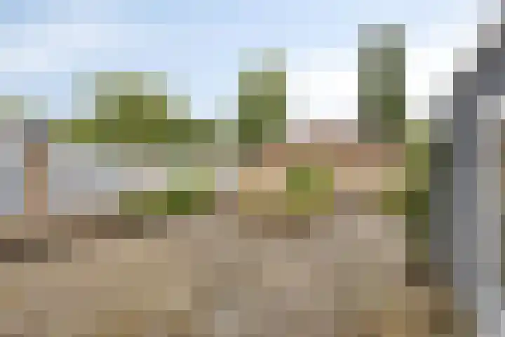Leeuwerikstraat 20 Berg en Terblijt thumbnail 30