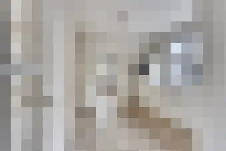 Leeuwerikstraat 20 Berg en Terblijt thumbnail 6