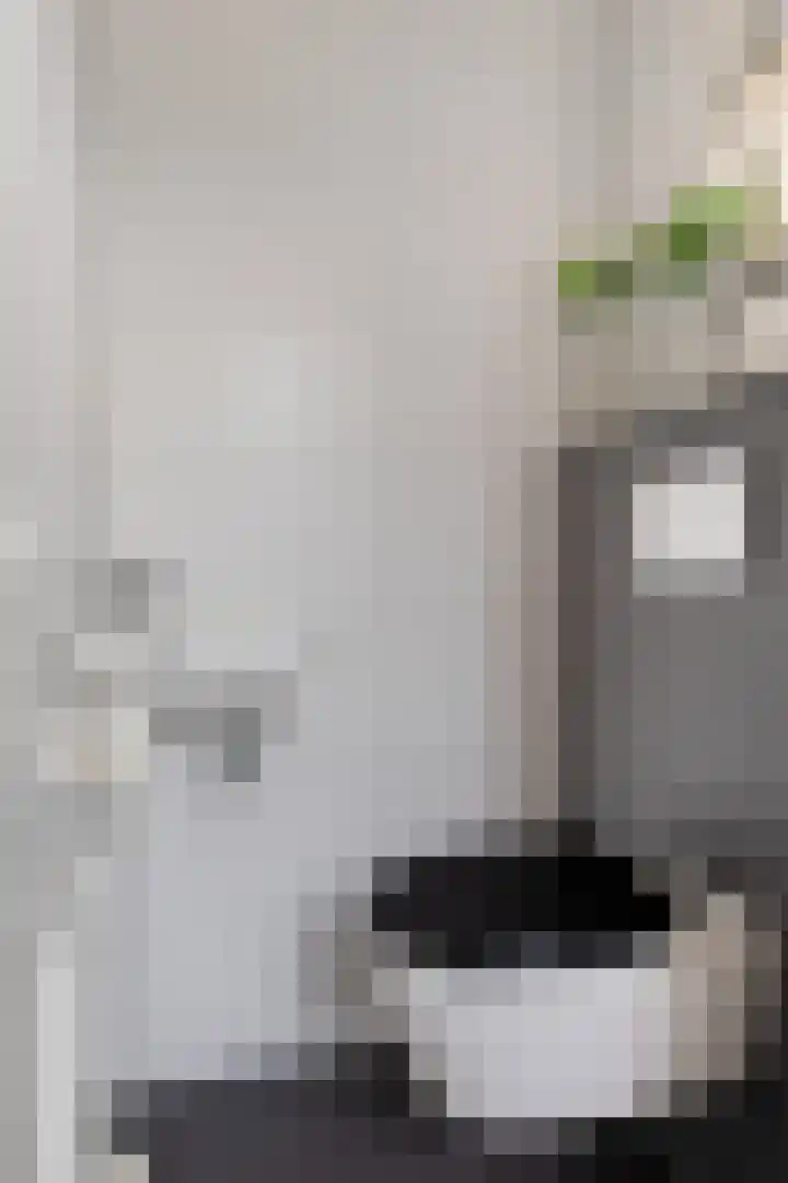 Leeuwerikstraat 20 De Rips thumbnail 10