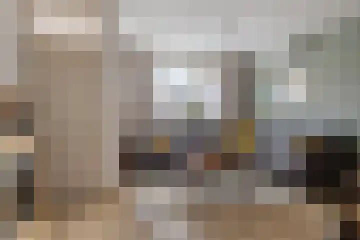 Leeuwerikstraat 20 De Rips thumbnail 11