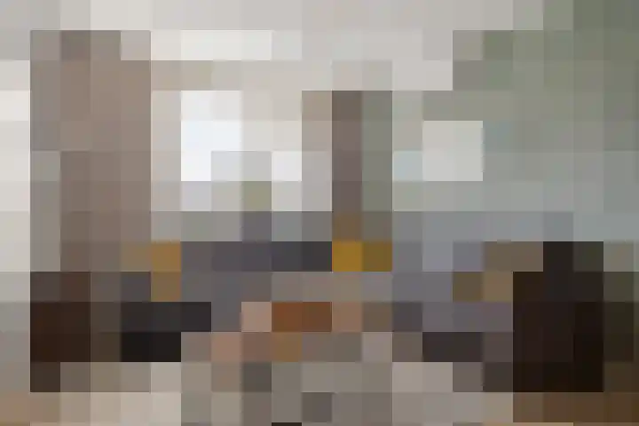 Leeuwerikstraat 20 De Rips thumbnail 12