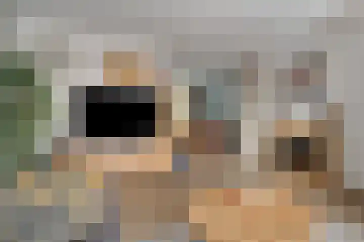 Leeuwerikstraat 20 De Rips thumbnail 13