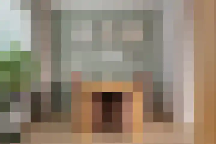 Leeuwerikstraat 20 De Rips thumbnail 14