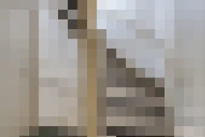 Leeuwerikstraat 20 De Rips thumbnail 19