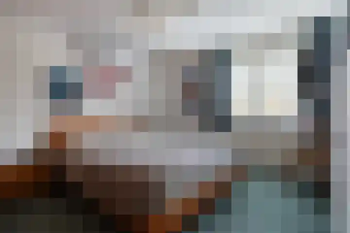 Leeuwerikstraat 20 De Rips thumbnail 20