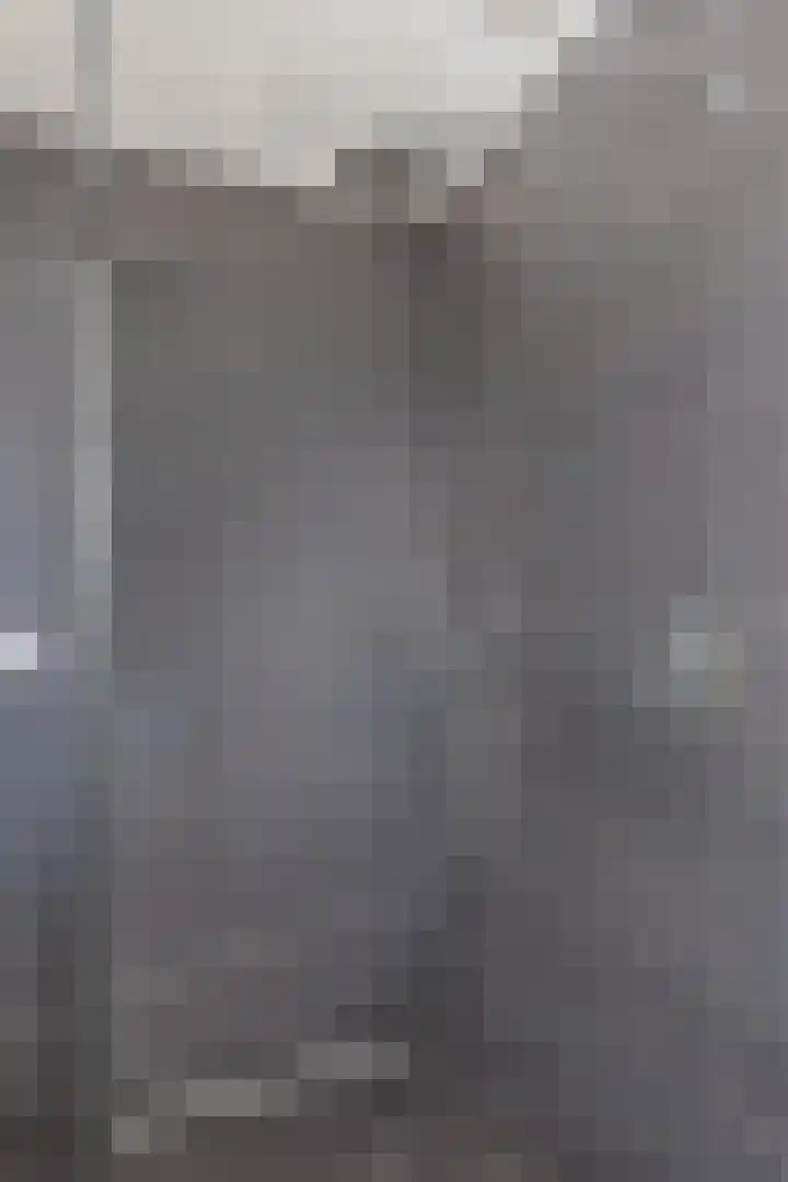 Leeuwerikstraat 20 De Rips thumbnail 23