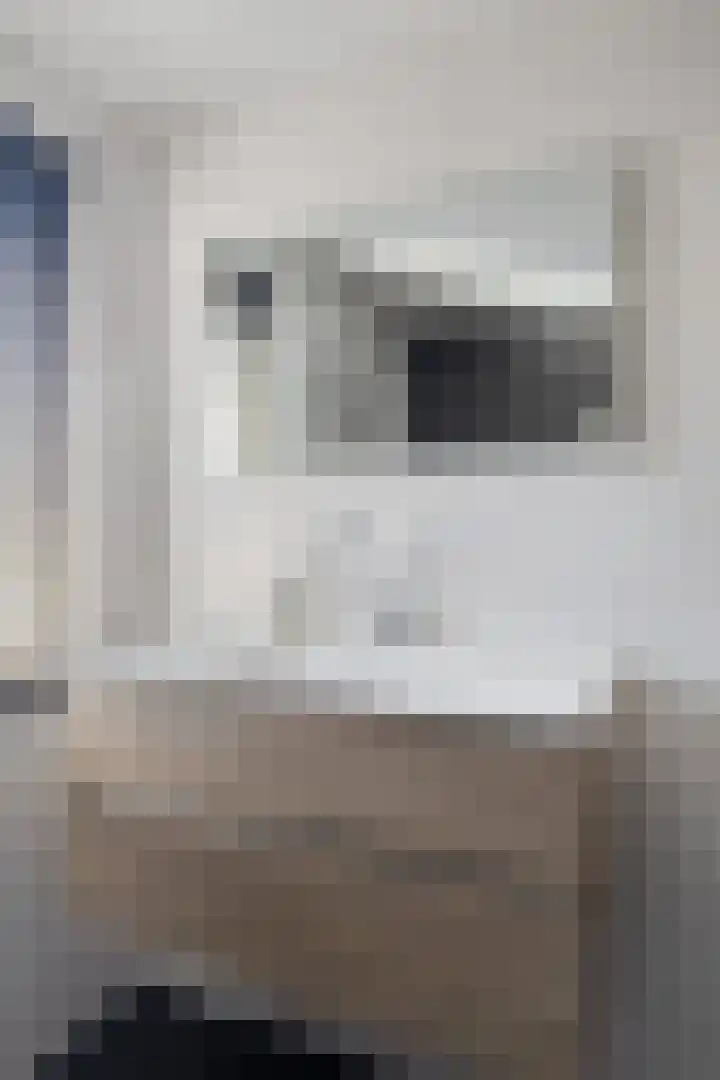 Leeuwerikstraat 20 De Rips thumbnail 24