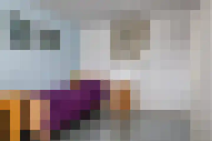 Leeuwerikstraat 20 De Rips thumbnail 26