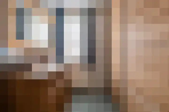 Leeuwerikstraat 20 De Rips thumbnail 27
