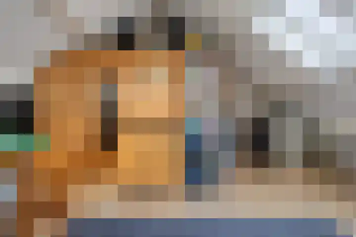 Leeuwerikstraat 20 De Rips thumbnail 28