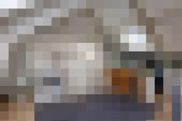 Leeuwerikstraat 20 De Rips thumbnail 29