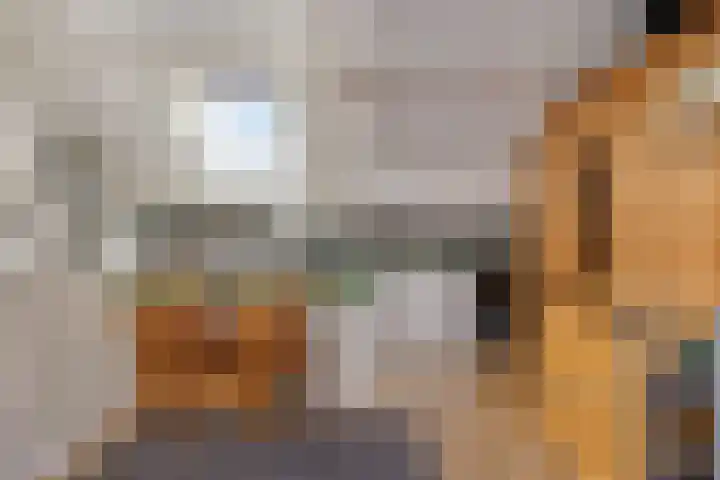 Leeuwerikstraat 20 De Rips thumbnail 30