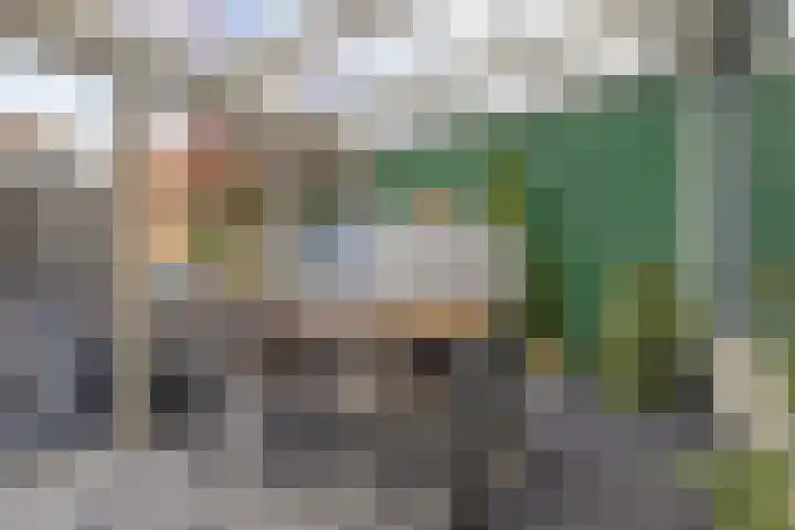 Leeuwerikstraat 20 De Rips thumbnail 31