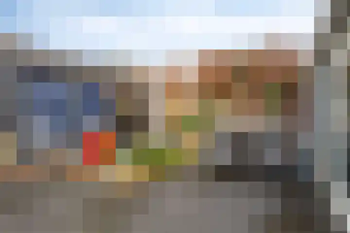 Leeuwerikstraat 20 De Rips thumbnail 33