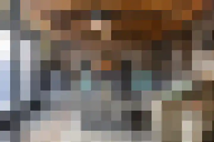 Leeuwerikstraat 20 De Rips thumbnail 37