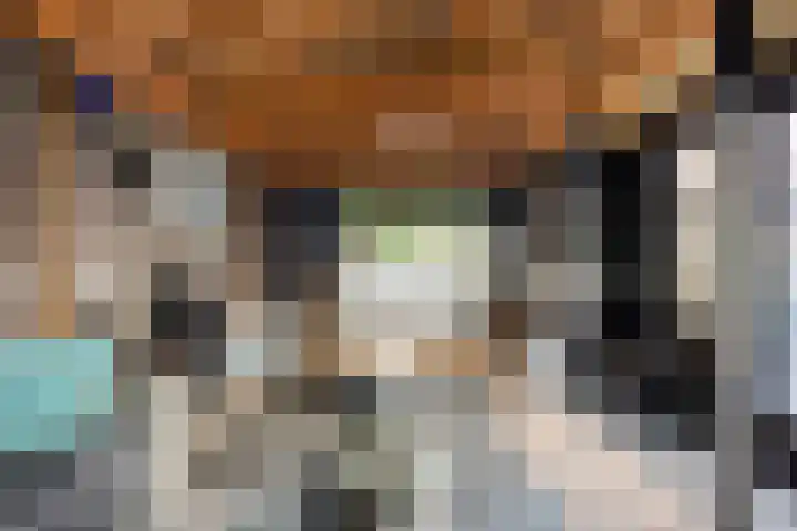Leeuwerikstraat 20 De Rips thumbnail 38