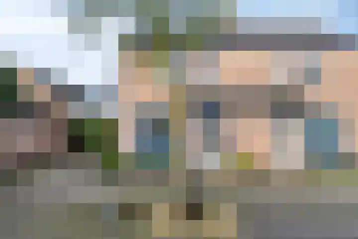 Leeuwerikstraat 20 De Rips thumbnail 6