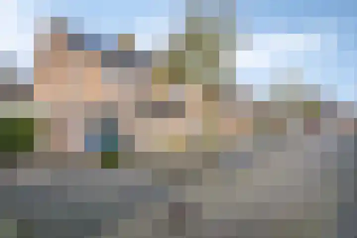 Leeuwerikstraat 20 De Rips thumbnail 7