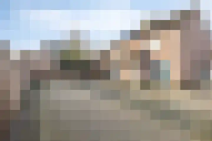 Leeuwerikstraat 20 De Rips thumbnail 8
