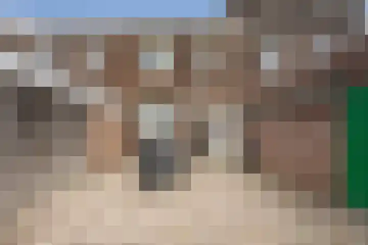 Leeuwerikstraat 20 Haarlem thumbnail 15
