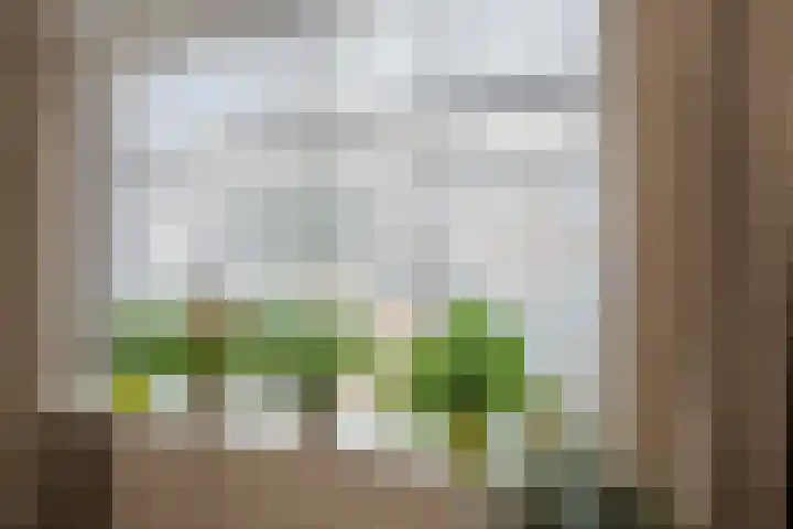 Leeuwerikstraat 20 Haarlem thumbnail 4