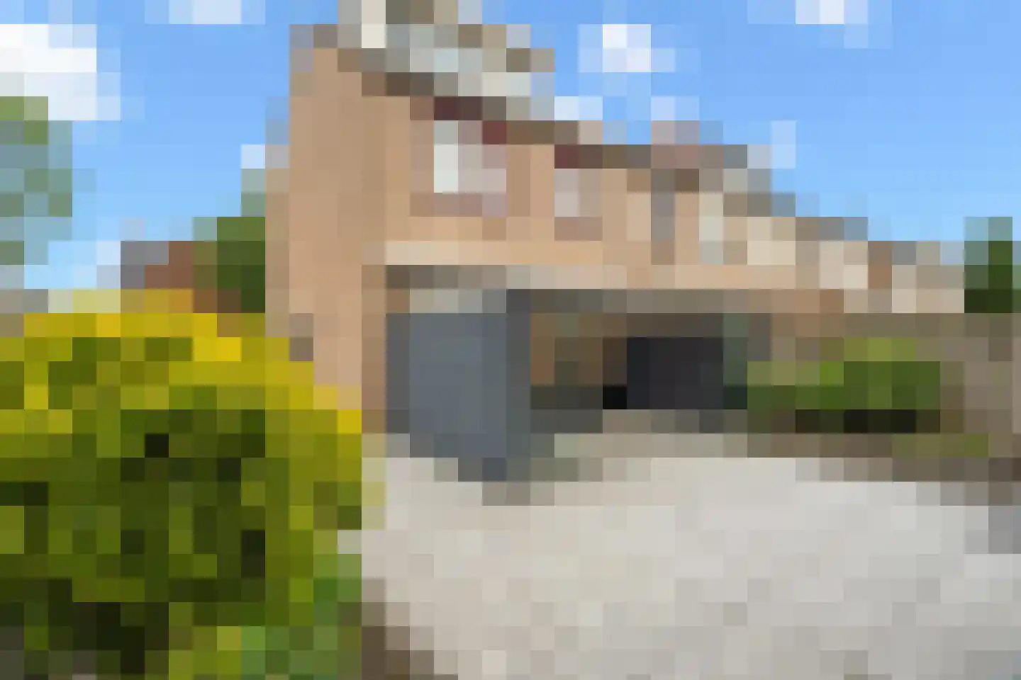 Leeuwerikstraat 20 Vianen thumbnail 26