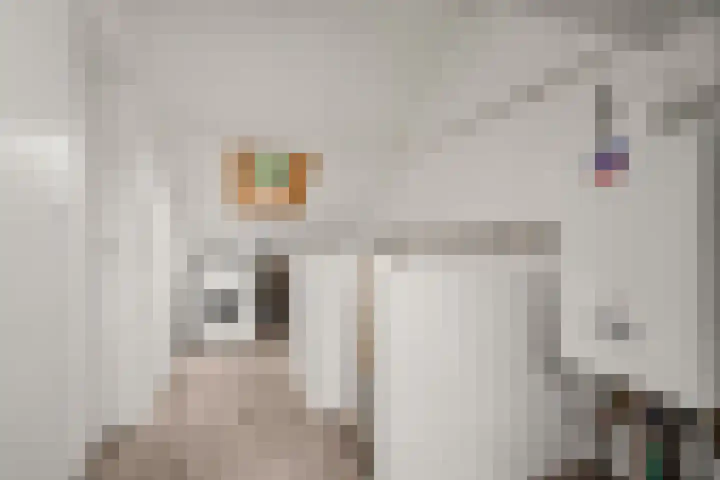 Leeuwerikstraat 20 Vianen thumbnail 47