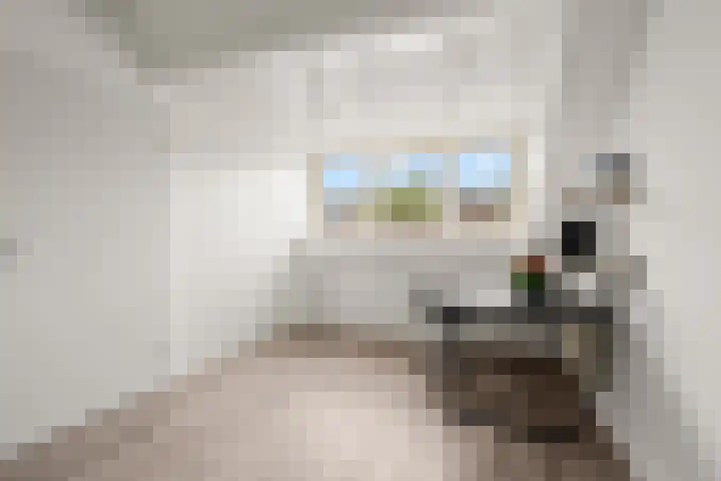 Leeuwerikstraat 20 Vianen thumbnail 50