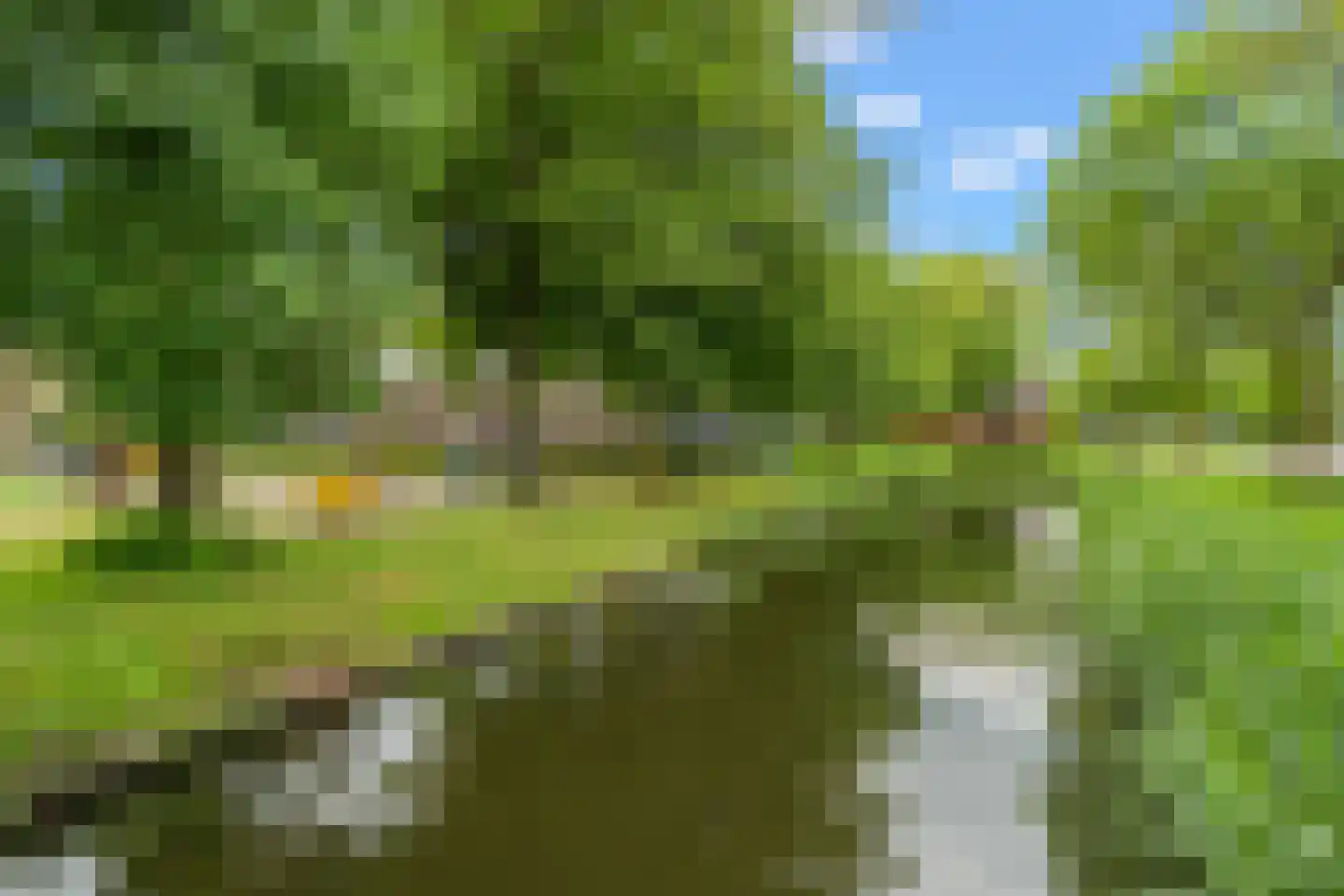 Leeuwerikstraat 20 Vianen thumbnail 55