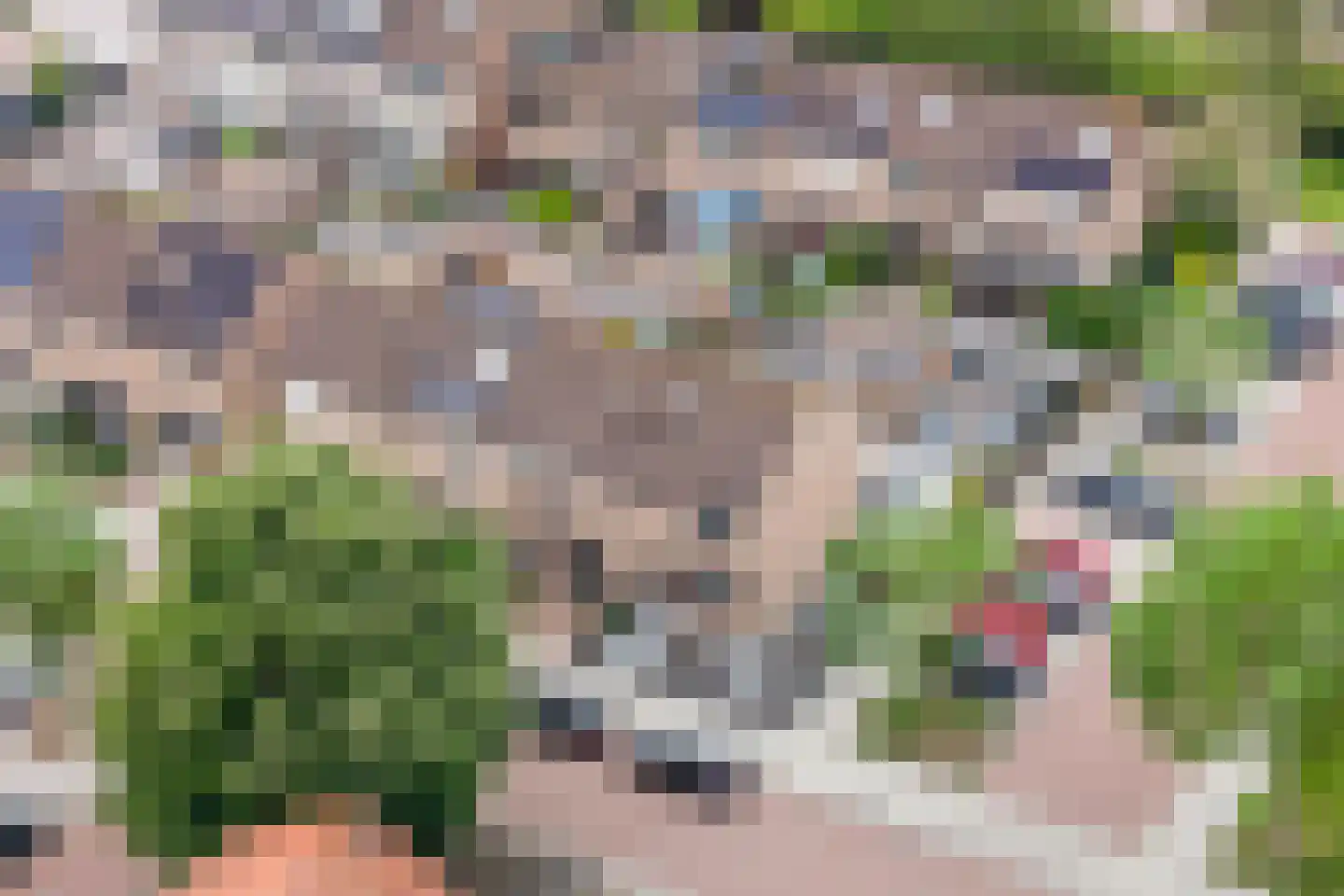 Leeuwerikstraat 20 Vianen thumbnail 57