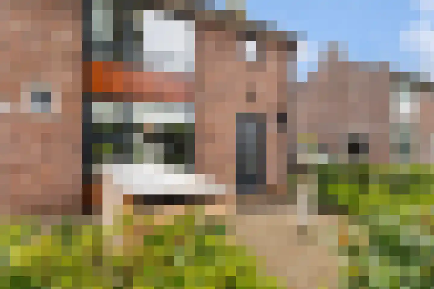 Leeuwerikstraat 22 Brummen thumbnail 11