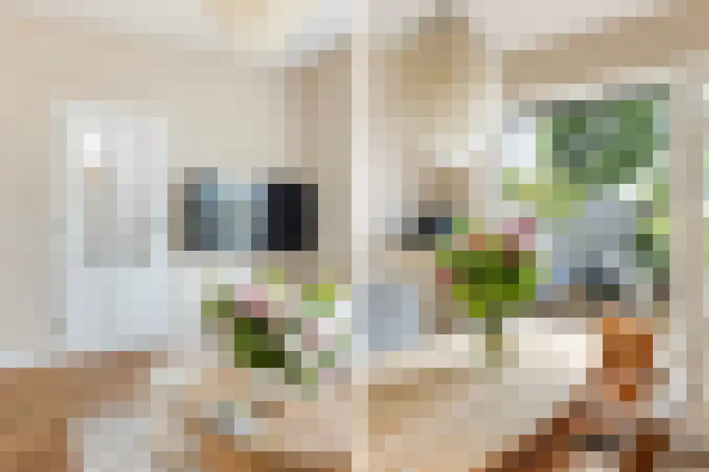 Leeuwerikstraat 22 Brummen thumbnail 22