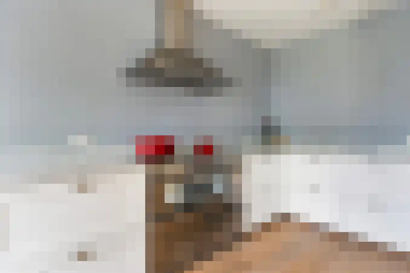 Leeuwerikstraat 22 Brummen thumbnail 27