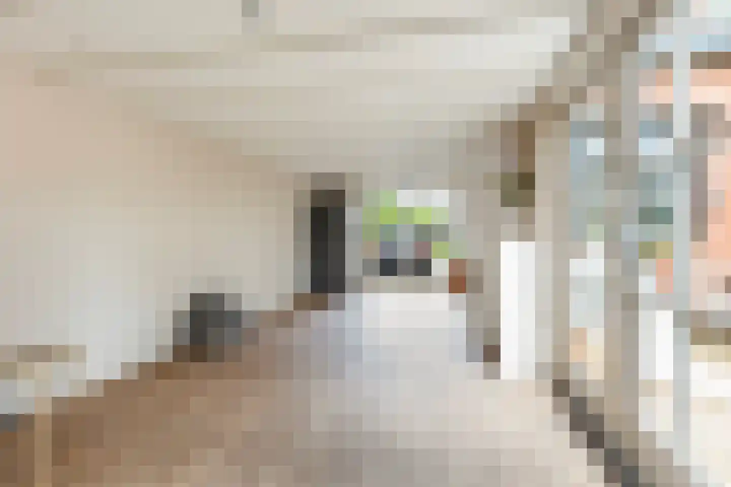 Leeuwerikstraat 22 Brummen thumbnail 32