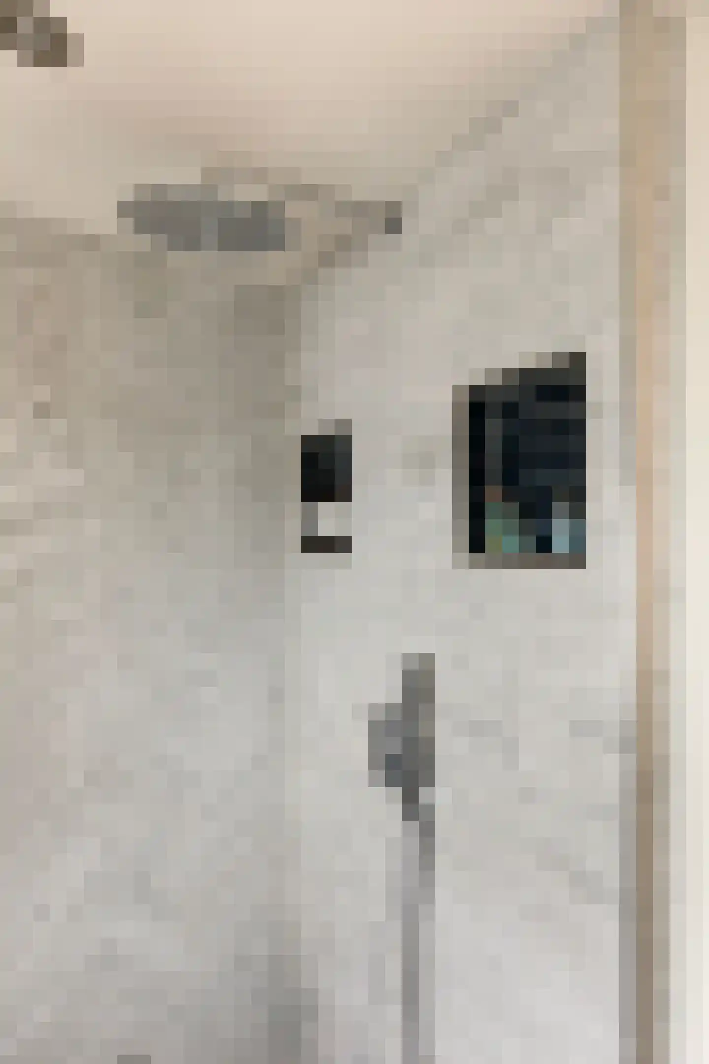 Leeuwerikstraat 22 Brummen thumbnail 41