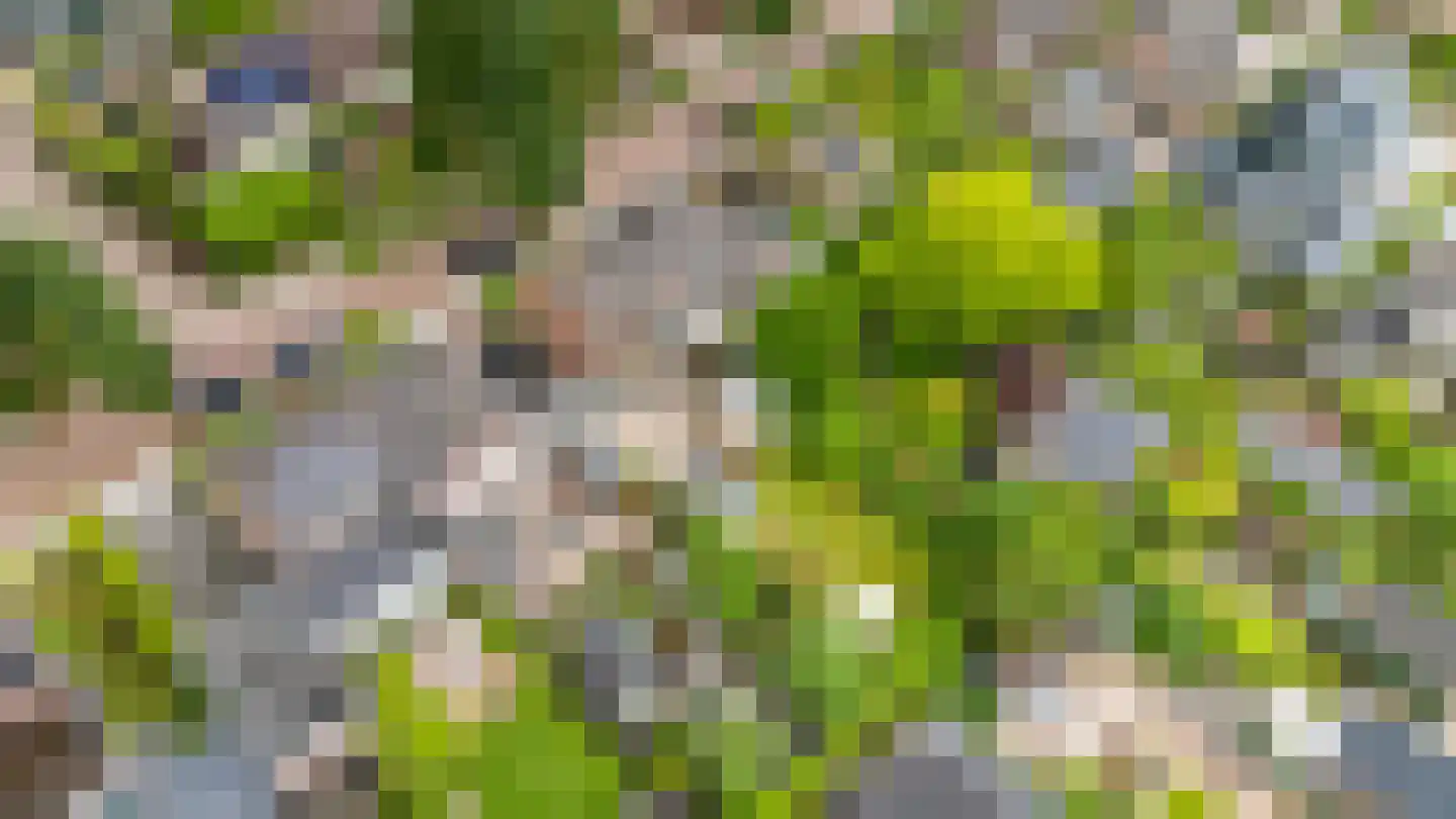 Leeuwerikstraat 22 Brummen thumbnail 53