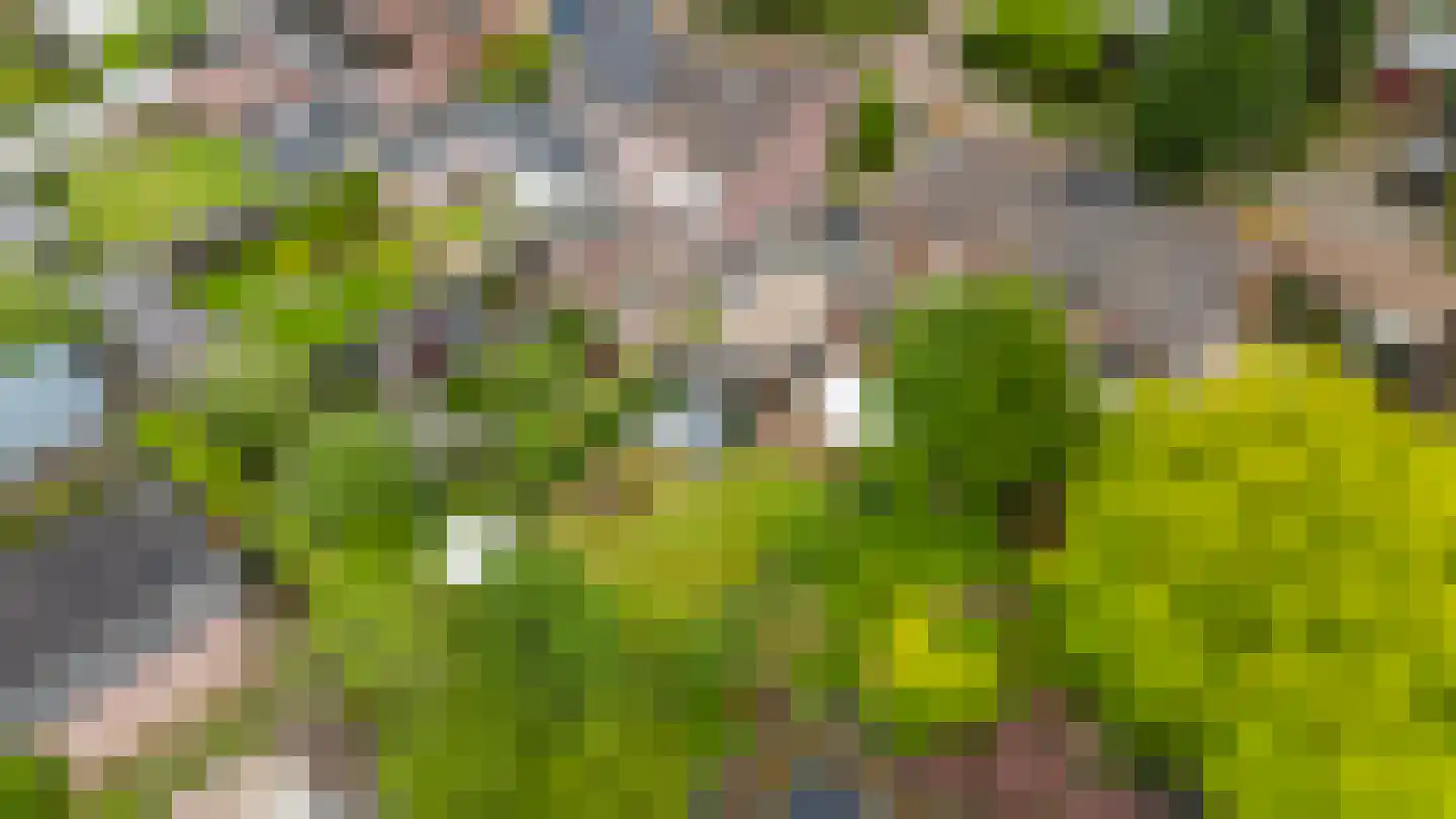 Leeuwerikstraat 22 Brummen thumbnail 57