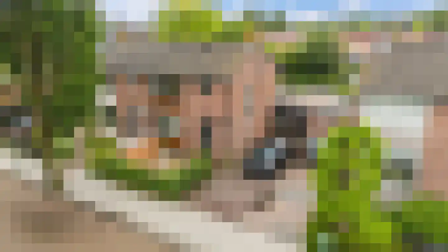 Leeuwerikstraat 22 Brummen thumbnail 7