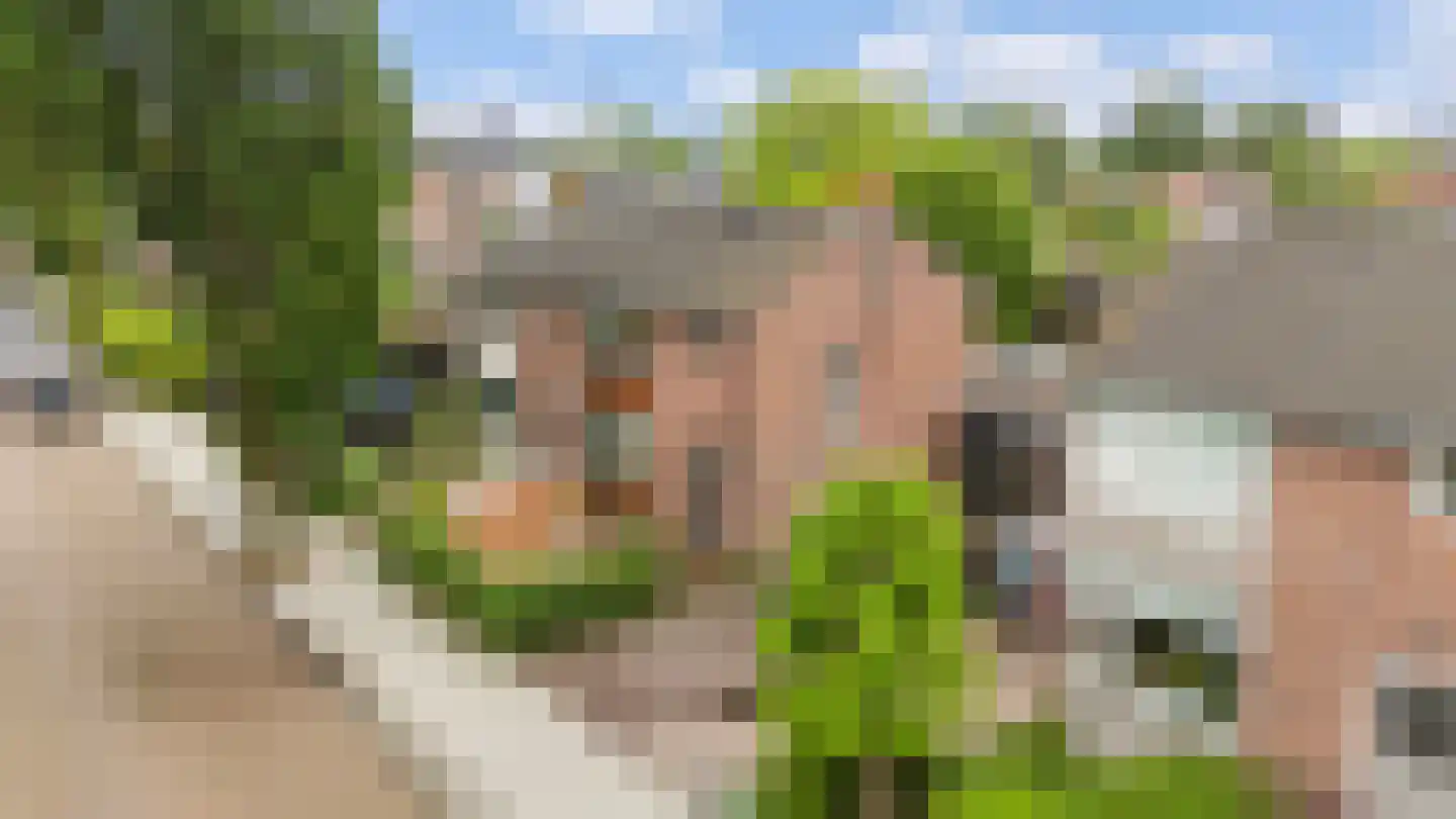 Leeuwerikstraat 22 Brummen thumbnail 8
