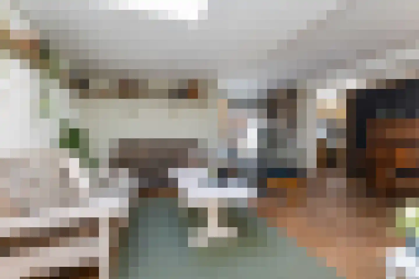 Leeuwerikstraat 22 Hattemerbroek thumbnail 13