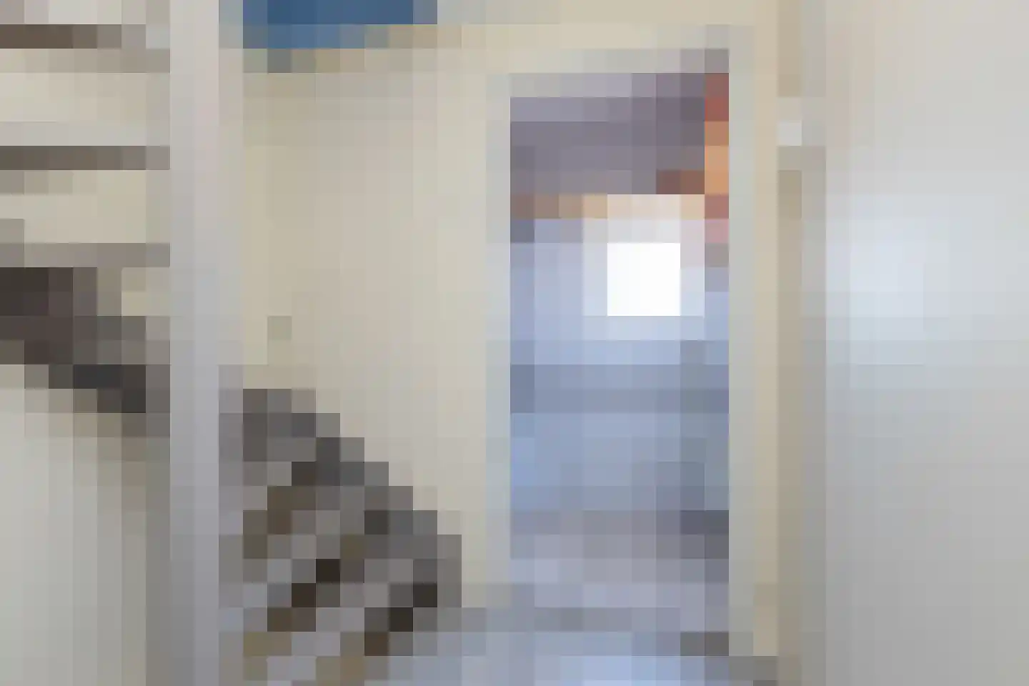 Leeuwerikstraat 22 Hattemerbroek thumbnail 21