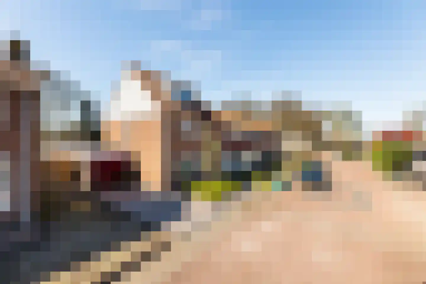 Leeuwerikstraat 22 Hattemerbroek thumbnail 4