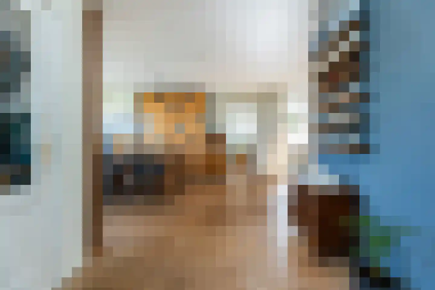 Leeuwerikstraat 22 Hattemerbroek thumbnail 8