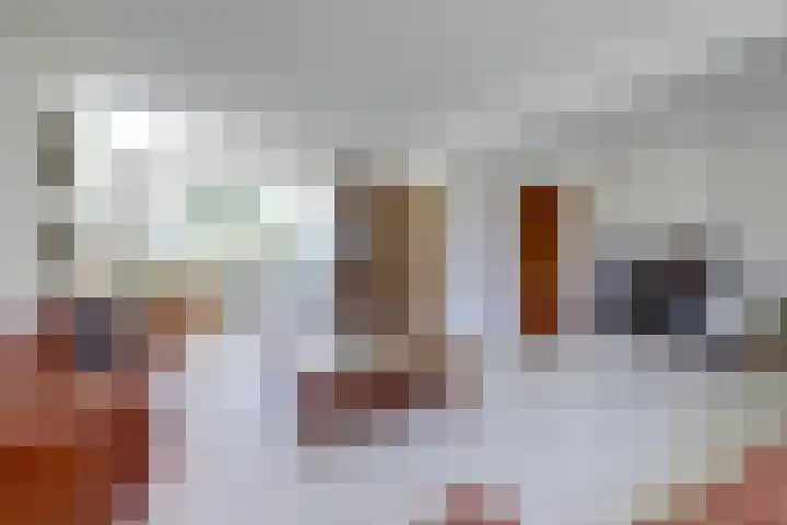 Leeuwerikstraat 23 Ermelo thumbnail 12