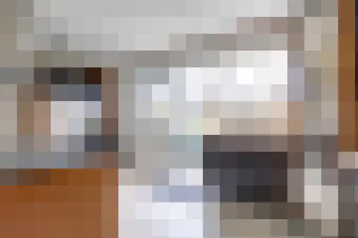 Leeuwerikstraat 23 Ermelo thumbnail 17