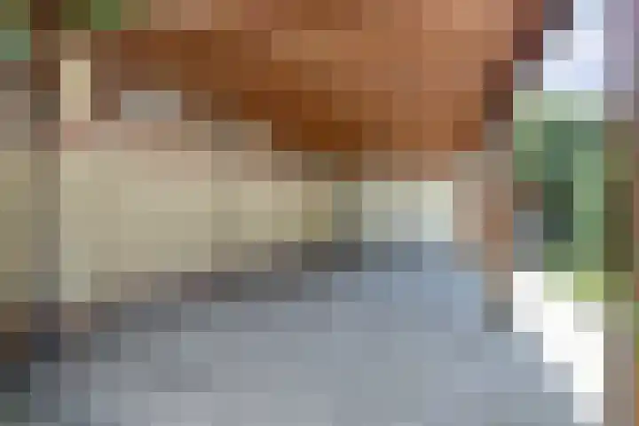Leeuwerikstraat 23 Ermelo thumbnail 38